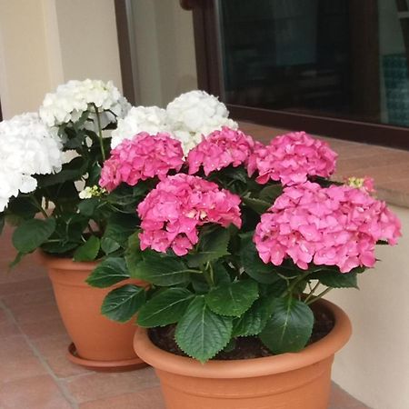 Le Fornacette Il Fienile Holiday Home מראה חיצוני תמונה