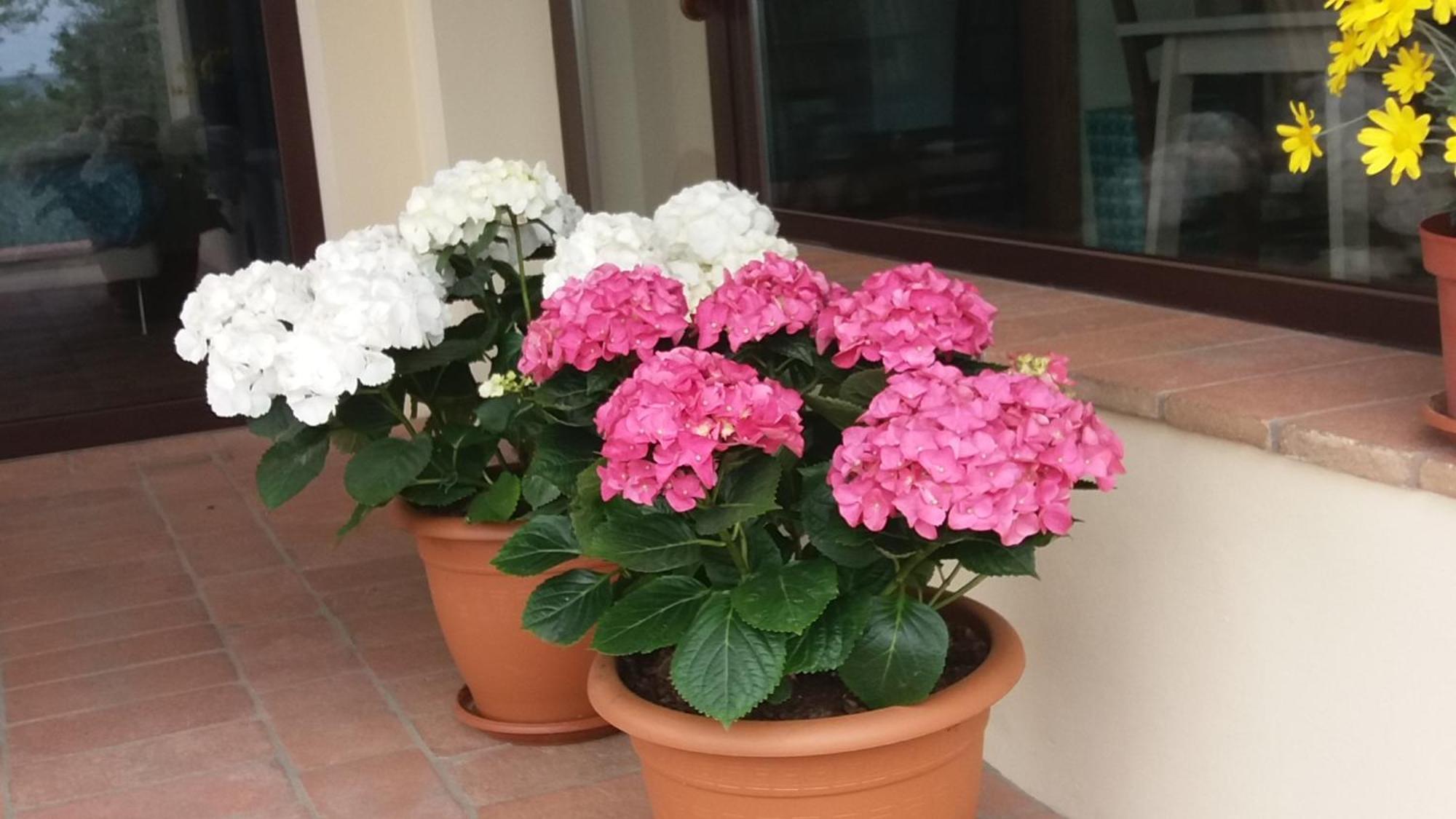 Le Fornacette Il Fienile Holiday Home מראה חיצוני תמונה