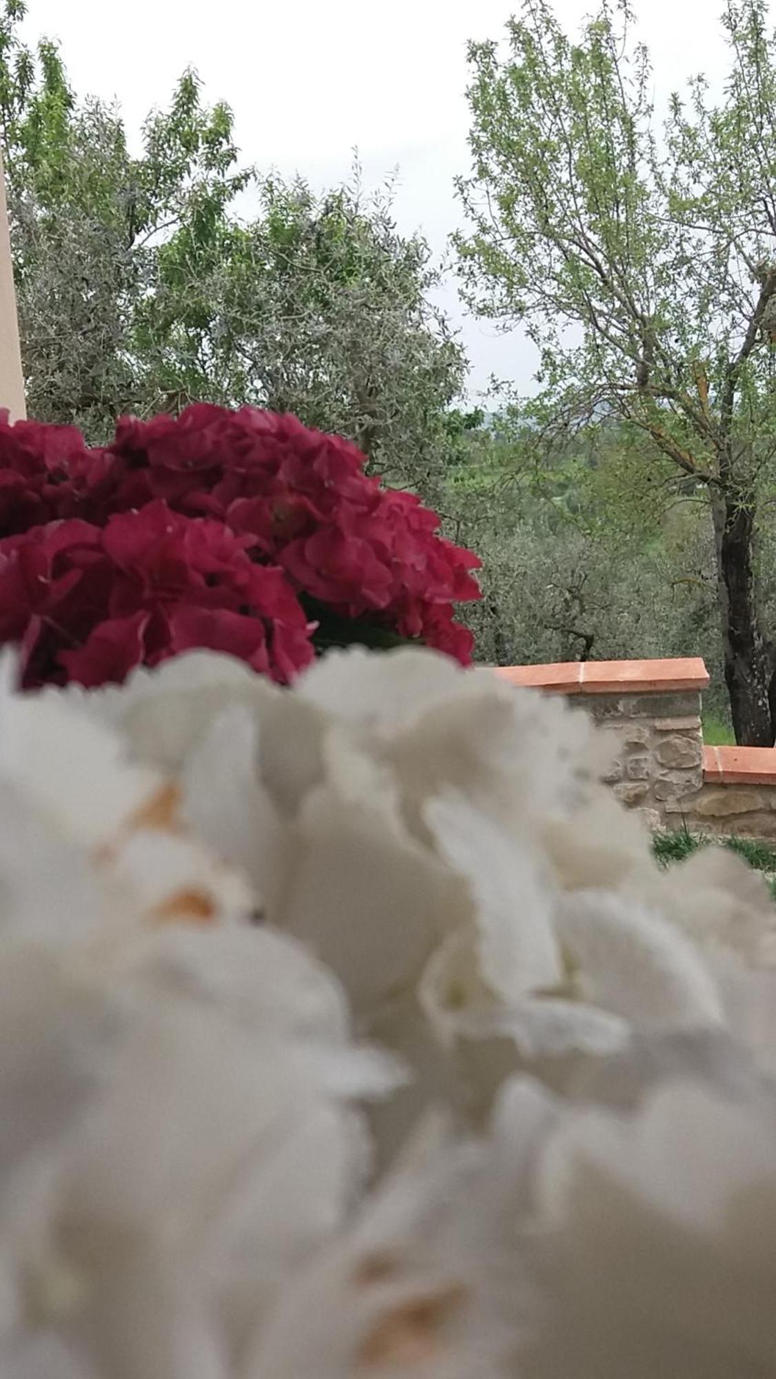 Le Fornacette Il Fienile Holiday Home מראה חיצוני תמונה